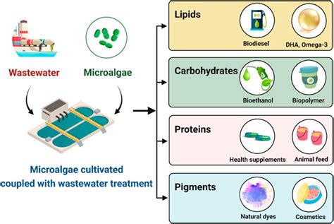 Frontiers Microalgae Based Wastewater Treatment For Developing