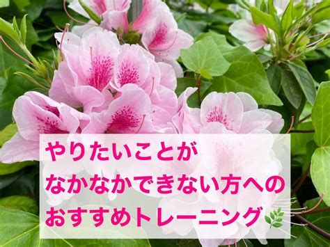 「やりたいことが なかなかできない」方への おすすめトレーニング やりたいことで生きる！意識とエネルギーの使い方。