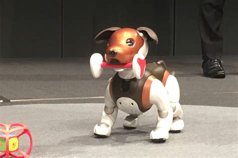 犬型ロボット「aibo」に新色 ビーグル犬をイメージした2019年限定「チョコレート色」 12 Itmedia News