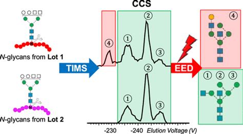 通过捕获离子迁移谱 电子激发解离串联质谱法准确鉴定异构聚糖。analytical Chemistry X Mol