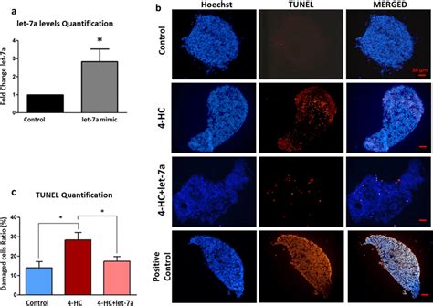 A Increased Expression Of Let 7a In PND3 Ovaries After Transfection