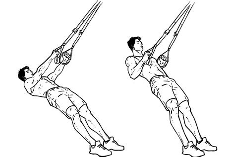 Free Workout Max Trx Suspension Training Circuit Workoutlabs Fit