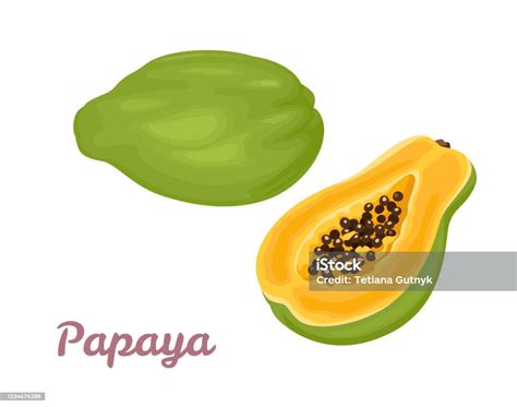 Pepaya Terisolasi Dengan Latar Belakang Putih Ilustrasi Vektor Buah