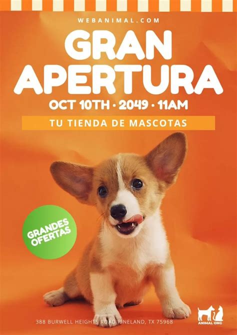 Carteles Para Tiendas De Mascotas Editables