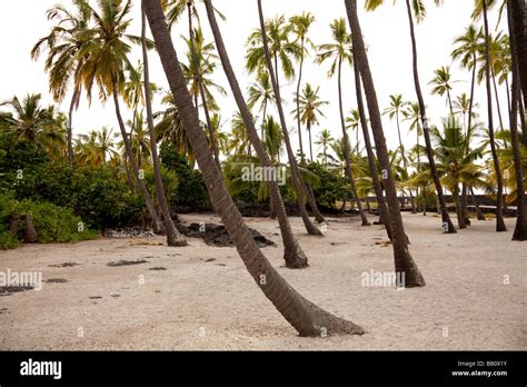 Puuhonua o Honaunau National Historical Park Stock Photo - Alamy