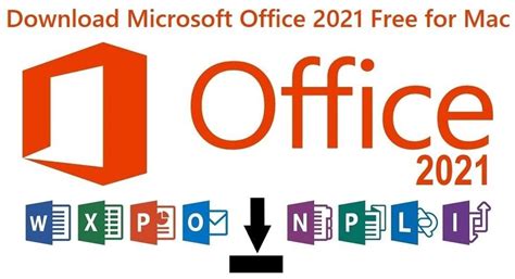 Office 2021 Pro Domácnosti A Podnikatele Mac Aukro