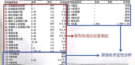 医院头条｜看懂化验单需要分几步？教你3分钟看懂基础检验报告单