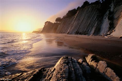 Visionary Wild (Sonoma Coast • Visionary Wild )