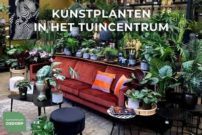 Pure Royal Kunstplant Philodendron Selloum 40cm Groen Kopen