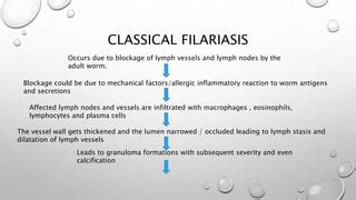 Pathogenesis Of Filariasis Ppt