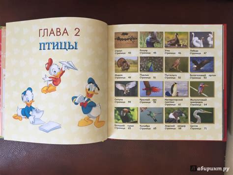 Книга: Большая энциклопедия животных - . Купить книгу, читать рецензии ...