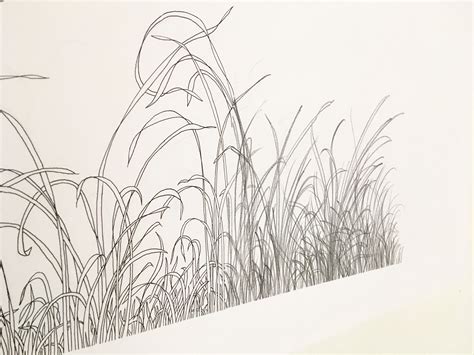 Grass Ink On Paper X Cm Drawing Grass Drawing Ink