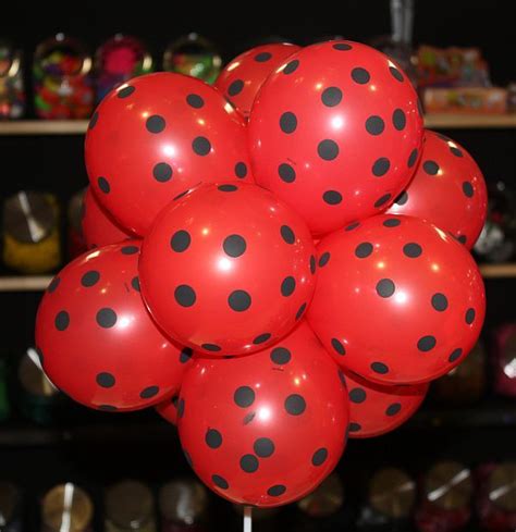 Ladybug Theme Ladybug Birthday Miraculous Ladybug Party Ladybug