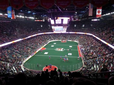 Scotiabank Saddledome Calgary Roughnecks