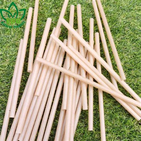 2022 New Product High Quality Biodegradable PLA Material Natural Bamboo