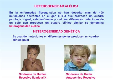 PPT PATRONES DE HERENCIA MONOGÉNICA PowerPoint Presentation free