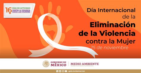 Día Internacional De La Eliminación De La Violencia Contra La Mujer 2020 Secretaría De Medio