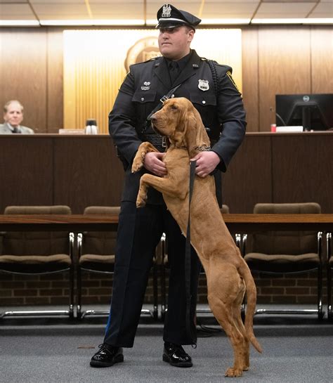 Gloucester Township Police Departments Adds Promotes Officers