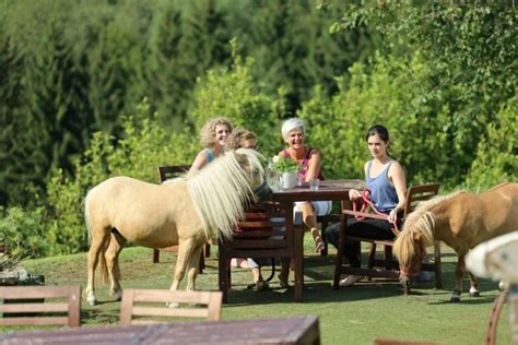 Bilder für Yoga Meditation und Wandern im Mühlviertel Retreat Urlaub