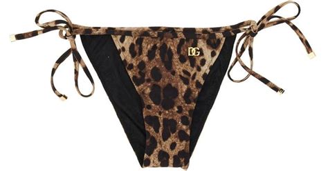Dolce Gabbana Bikini Briefs In Brown Lyst