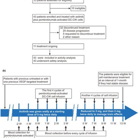 Clinical Trial Diagram And Protocol A Flow Diagram Illustrating The