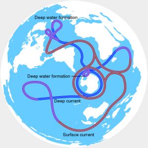 Thermohaline_circulation.svg_ - AntarcticGlaciers.org