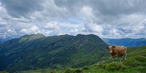 Wanderwege in Rauris schönsten Touren der Region Outdooractive