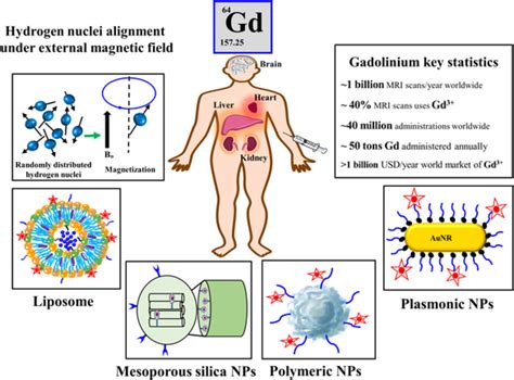 Integration Of Gadolinium In Nanostructure For Contrast Enhanced