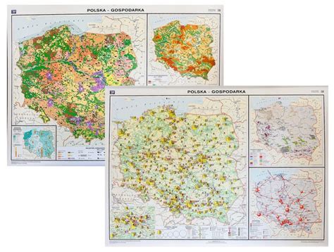 Polska Gospodarka Mapa Cienna Rolnictwo Przemys Z Allegro