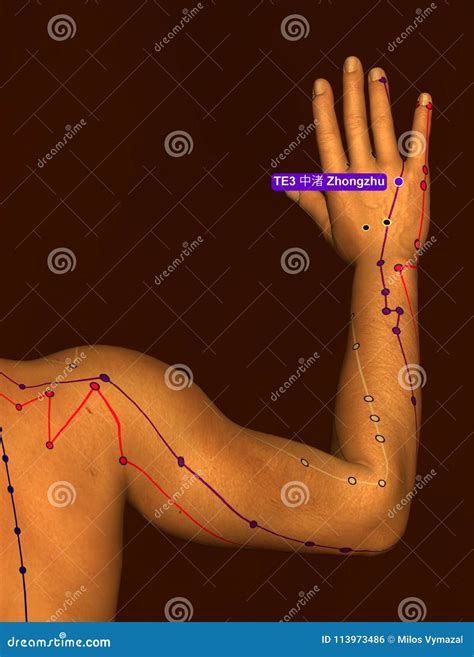 Acupuncture Point Te3 Zhongzhu 3d Illustration Brown Background Stock