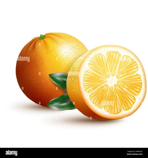 Set Of Fresh Whole Half Cut Slice Orange Fruit Isolated On White