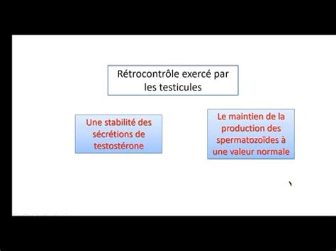 BAC Math Et Sc SVT Reproduction Chez L Homme CH2 EP20 Importance