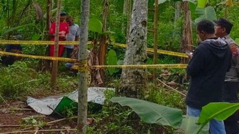 Kakek Di Tulungagung Meninggal Seketika Setelah Jatuh Dari Pohon Kelapa