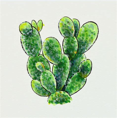 Teeny Tiny Cacti Succulent Illustrations In Copic And Watercolor