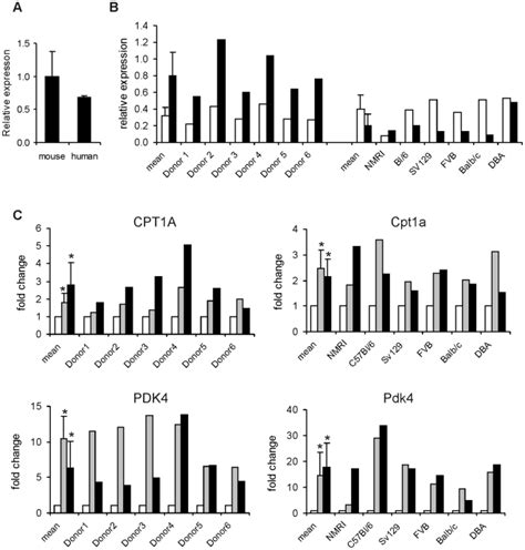 A Pparα Mrna Expression Levels In Human Versus Mouse Liver As