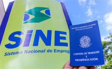 Sine Tocantins Disponibiliza Mais De 500 Vagas De Empregos Nesta Quarta