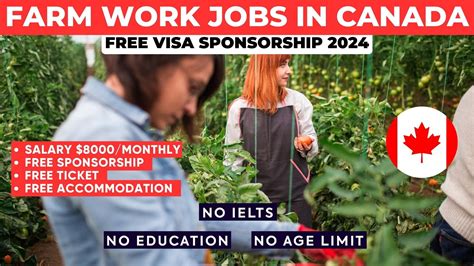 Farm Work Jobs In Canada With Free Visa Sponsorship Youtube