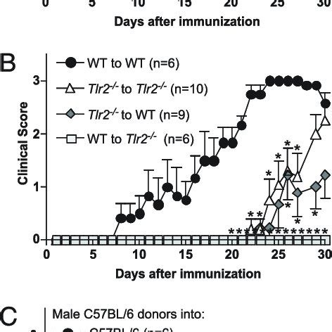 Clinical Course Of Passive Eae Induced By Adoptive Transfer Of In