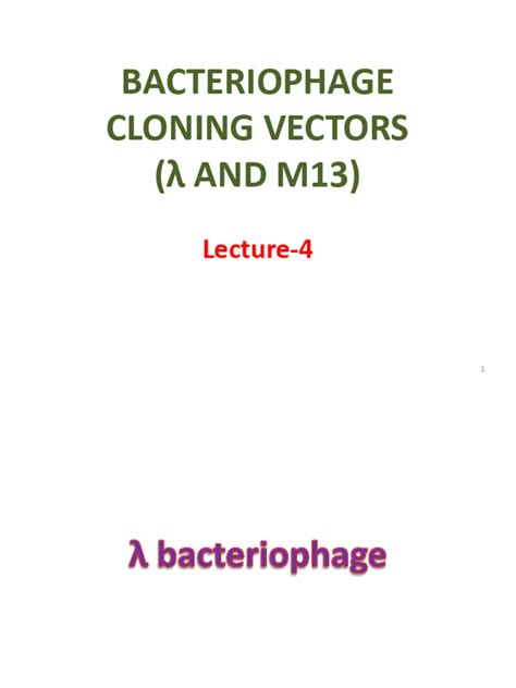 Bacteriophage Lambda And M13 Vectors Download Free Pdf Vector Molecular Biology