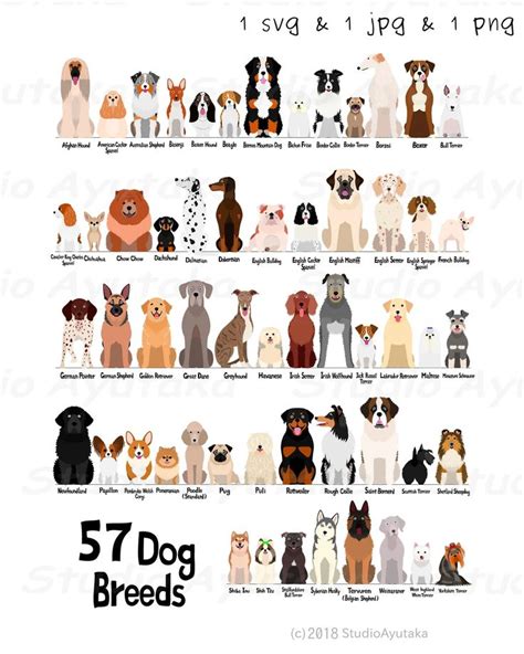 Tabla de 57 razas de perros png 1620 Etsy México Dog