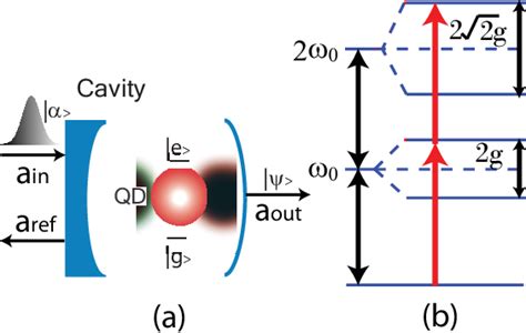 Figure 1 From Probing The Ladder Of Dressed States And Nonclassical