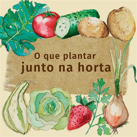 Como Organizar Sua Horta Plantas Companheiras Centro De Apoio E