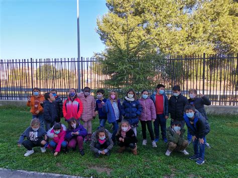 2n de primària AVET CEIP María Moliner Fraga