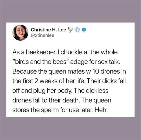 Birds And The Bees Sex Ed Adage Seriously Funny Bee Keeping