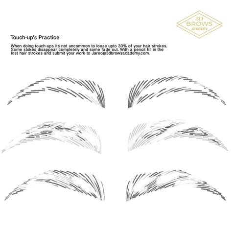 Printable Brow Mapping Practice Sheets