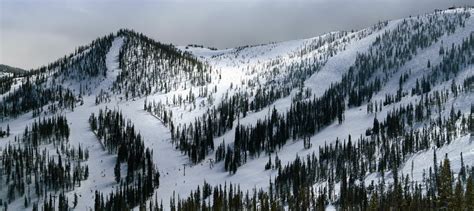 Thrilling Outdoor Activities For Cold Weather Cabin Campers In Colorado