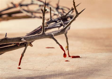 Ogni Uomo Vale Il Sangue Di Cristo Parusia