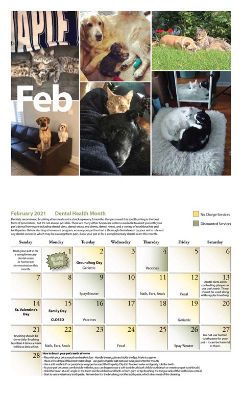 Veterinary Ce Calendar