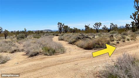 Wee Thump Joshua Tree Hike Hikingguy