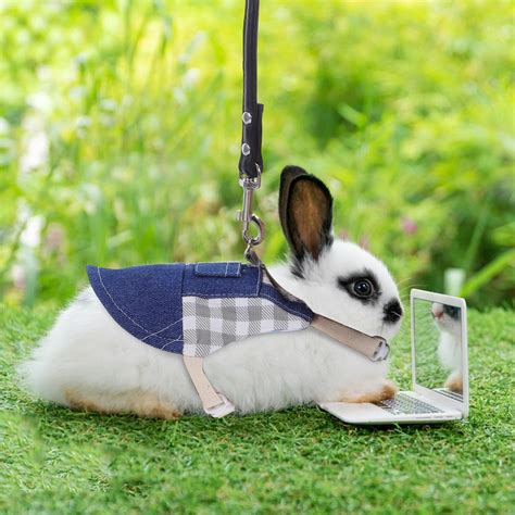 adult rabbit outfit 6